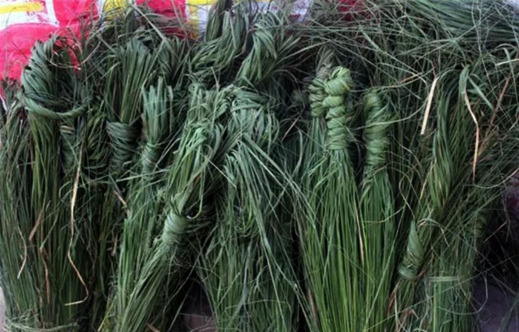 घर घरमा भित्र्याइयो कुश